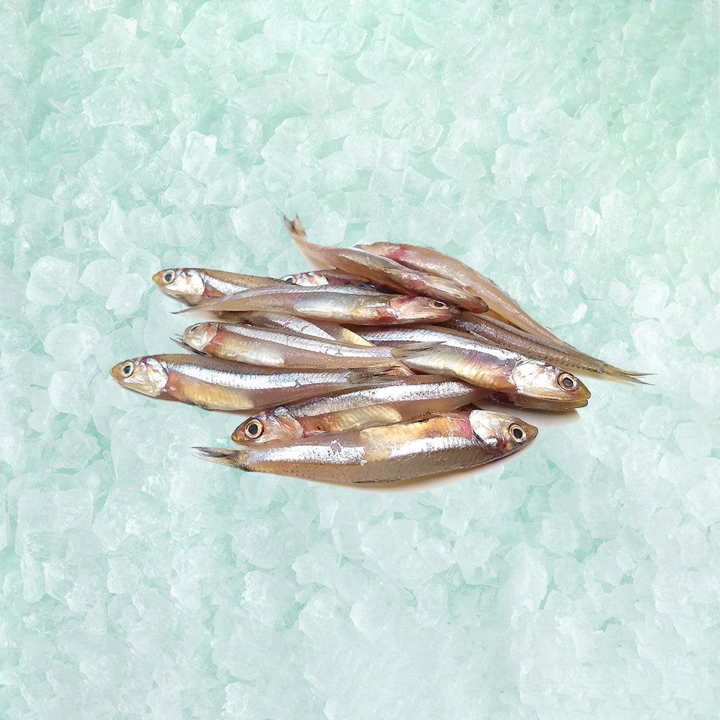 日本鹹胡瓜魚魚子【預凍】（8條）