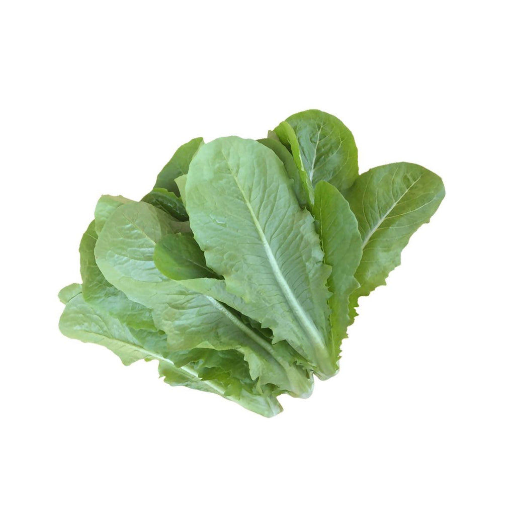 本地羅馬生菜  (600g)