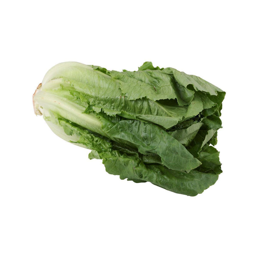 日本羅馬生菜  (600g)