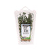 Kenyan Thyme (Pack)  (1pack)