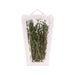 Kenyan Thyme (Pack)  (1pack)