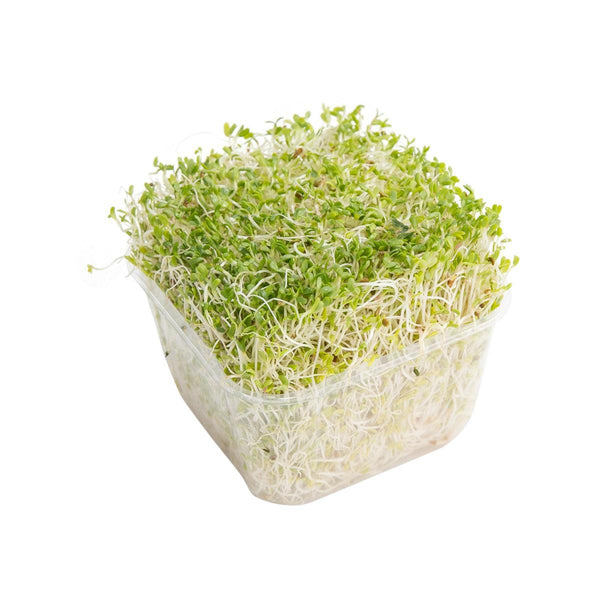 澳洲苜蓿芽（1包）
