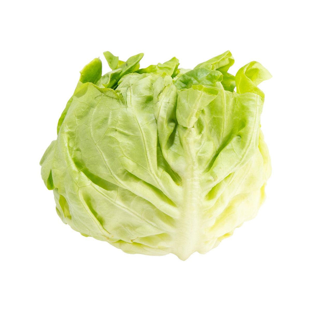 法國奶油生菜(300g)