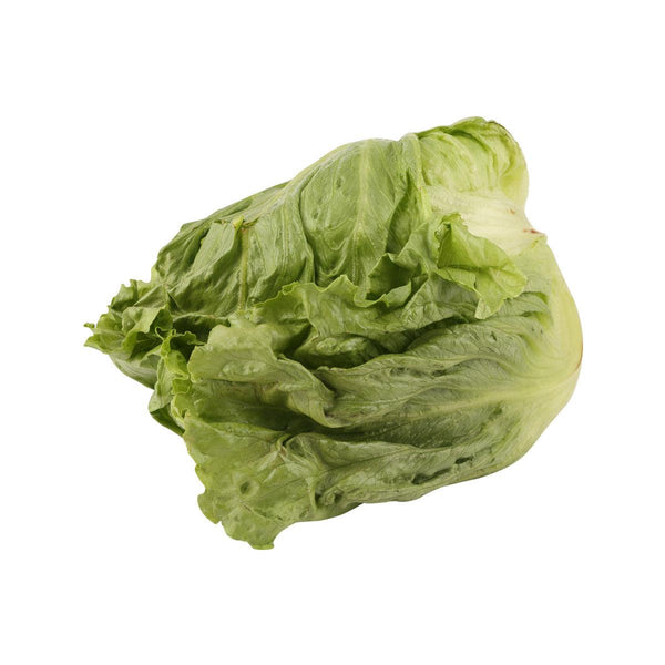 日本生菜  (600g)