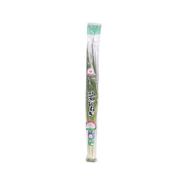 日本萬能蔥  (1pack)