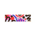 CITYSUPER X LCDF 30th Anniversary Assorted Organic Chocolate Gift Box  (72g)