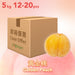 Japanese Golden Peach (Case) (1box)