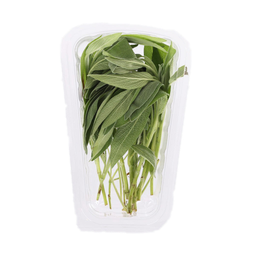 肯尼亞鼠尾草(包裝)  (1pack)