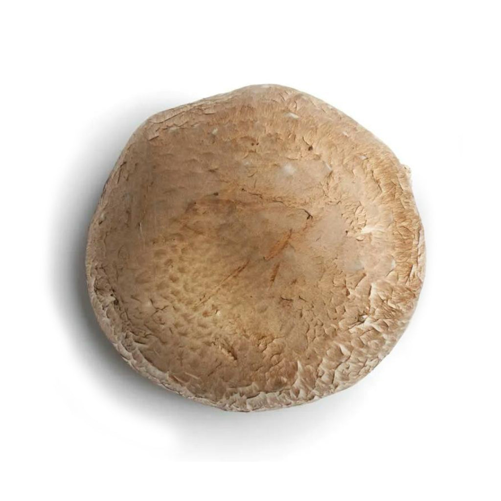 Local Organic Mushroom (Giant Portobello) Size 12-14cm (1pc)