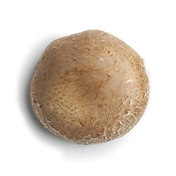 Local Organic Mushroom (Giant Portobello) Size 12-14cm (1pc)