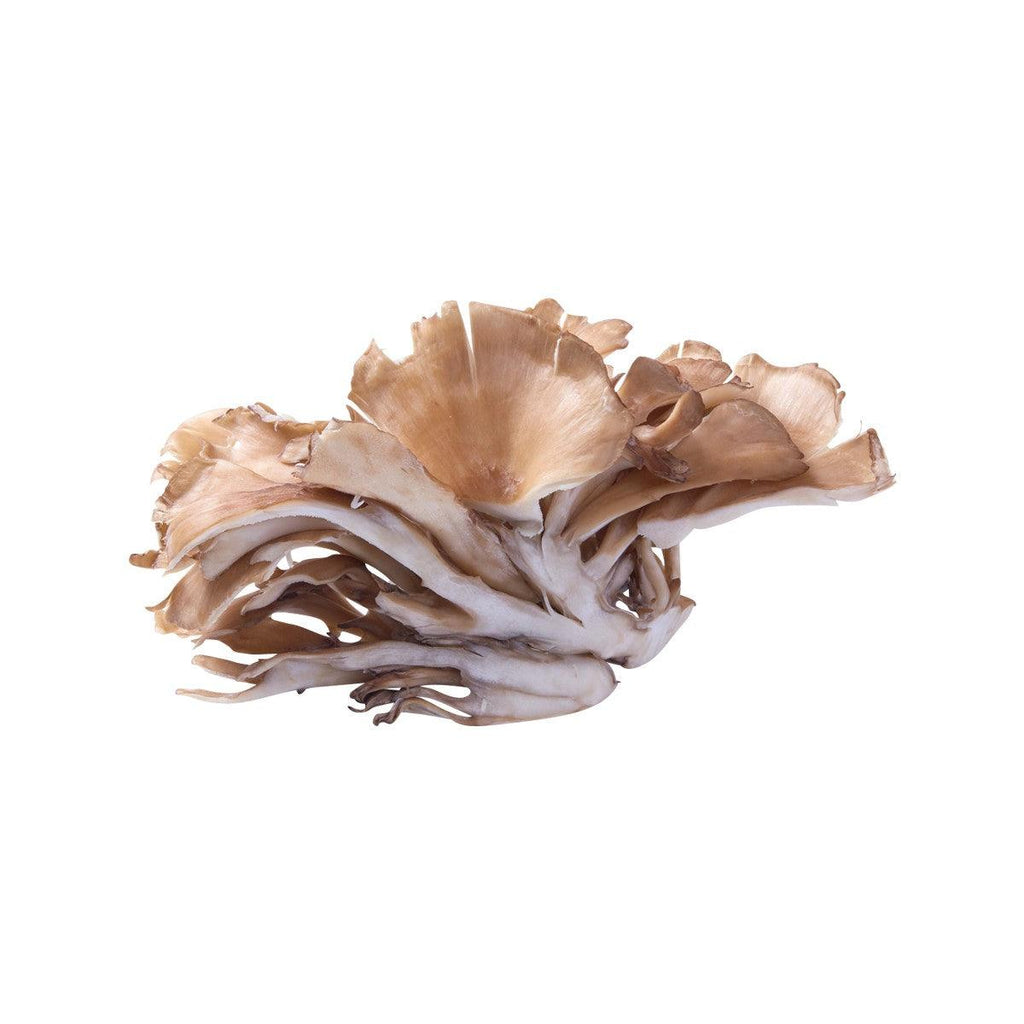 Japanese Maitake Mushroom  (1pack)