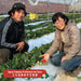 Japan Fukuoka Ise Farm Amaou Strawberry Gift Box - No Chemical Pesticide (1pack)